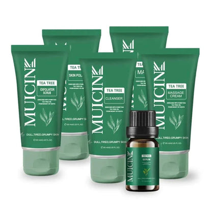 Tea Tree Clear & Clean Facial Kit