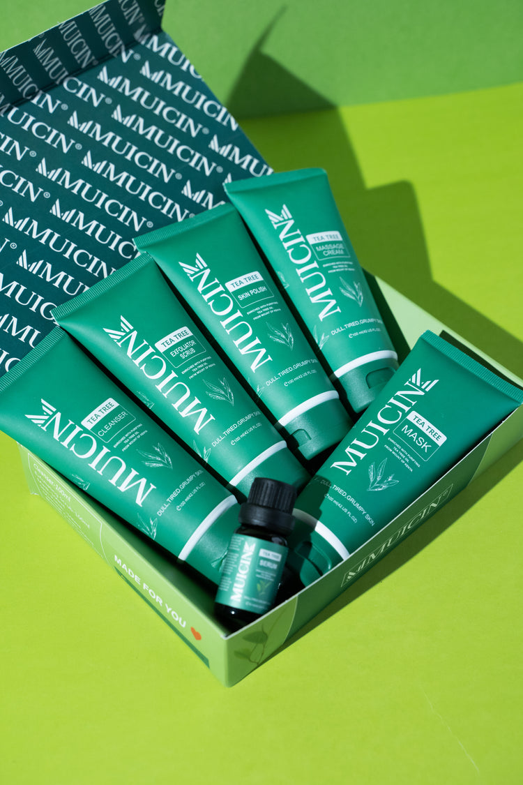 Tea Tree Clear & Clean Facial Kit